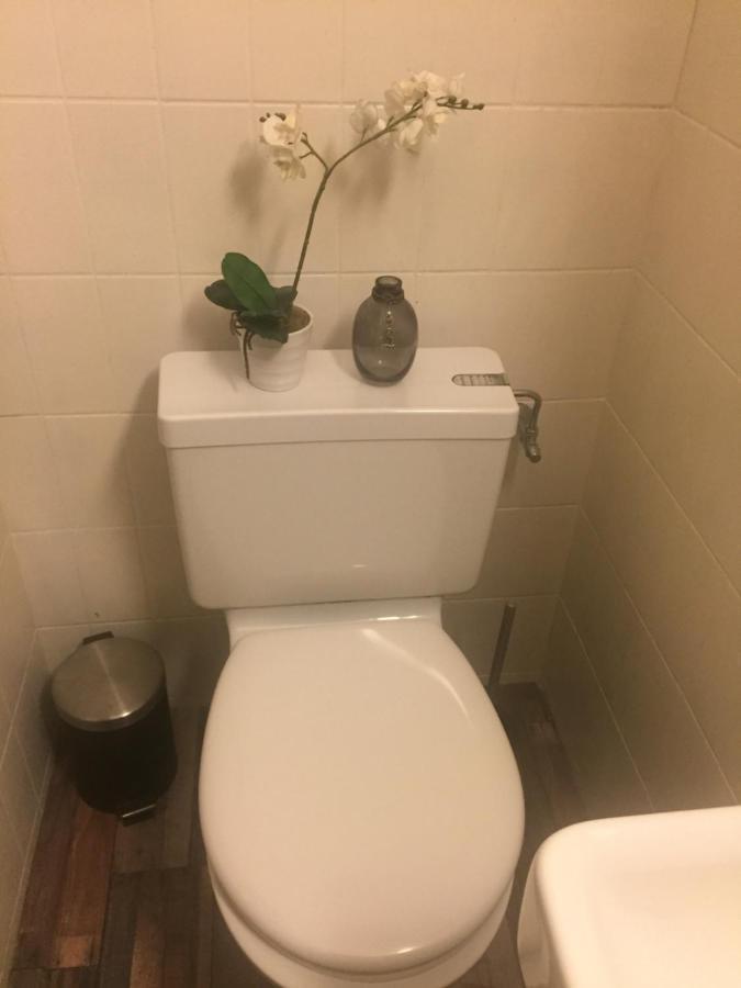 Petit Appart De Charme Eau Chaude Solaire Renovation 2021 Wifi Disponible Belvedere 5 Сан-Люк Екстериор снимка